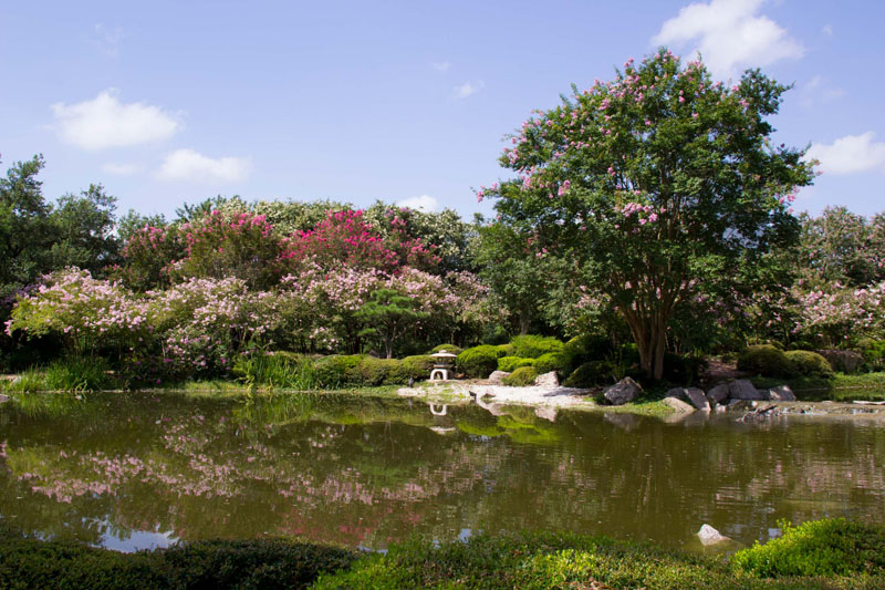 Single-Family Home for Sale in the Houston Museum District
