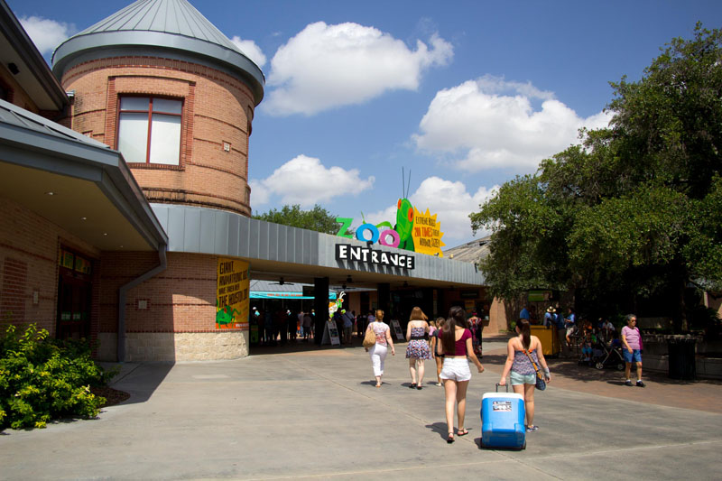 Town-home Development in the Houston Museum Distri