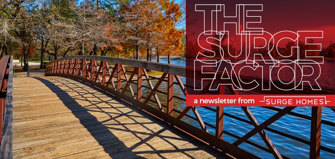 The Surge Factor: November 2016