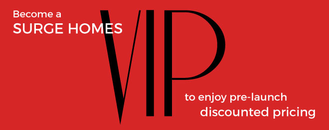 VIP.jpg